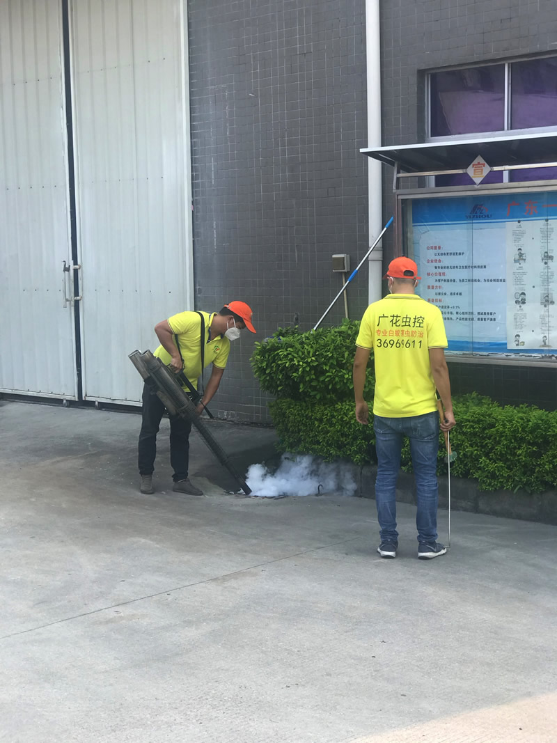 工厂下水道杀虫