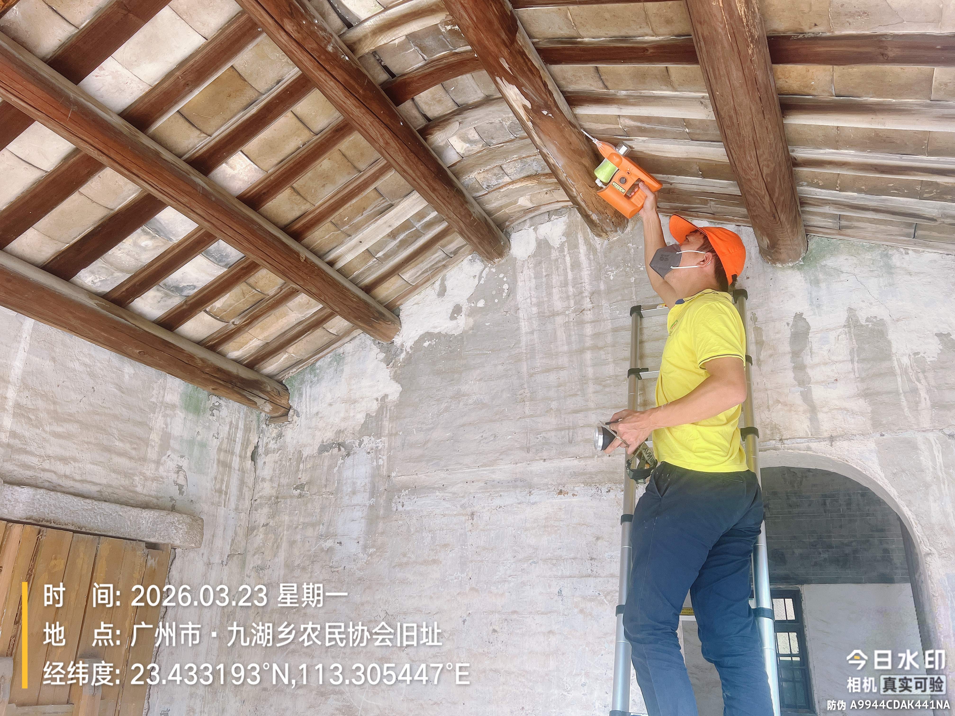 广州花都白蚁防治_花东三凤村古建筑白蚁灭治专业公司