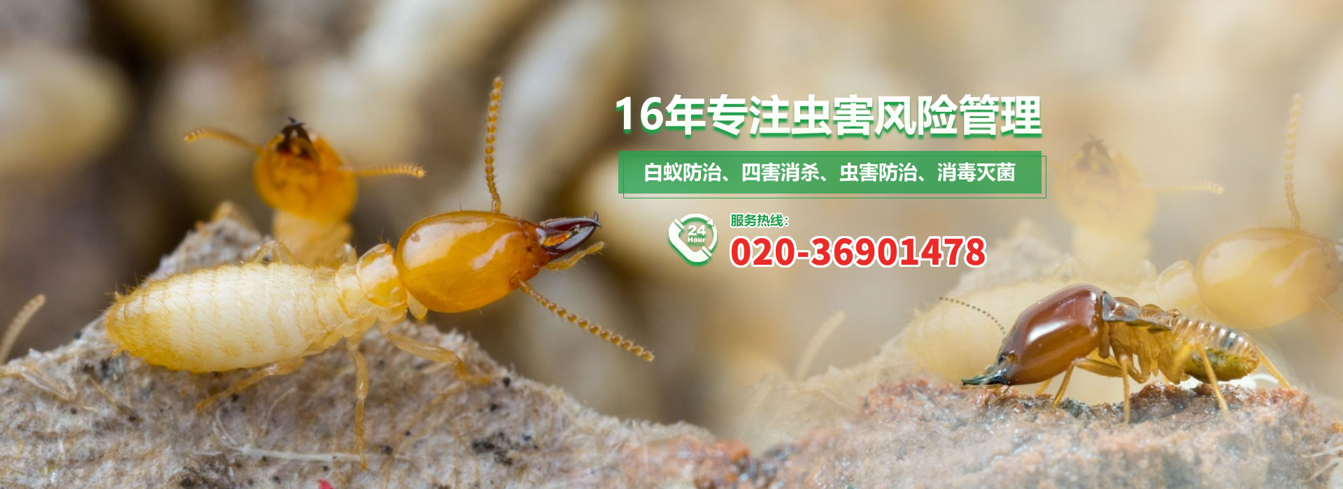 16年专注虫害风险管理